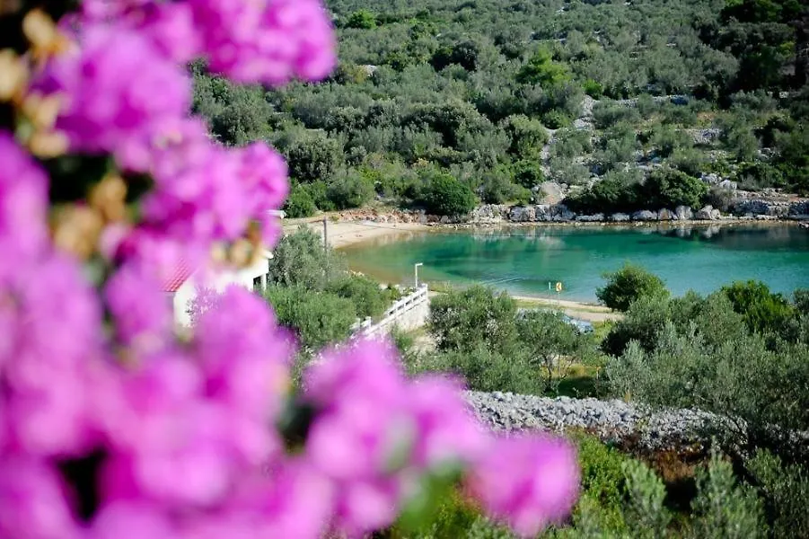 Apartment In Kali With Seaview, Terrace, Air Condition, Wifi Croatia